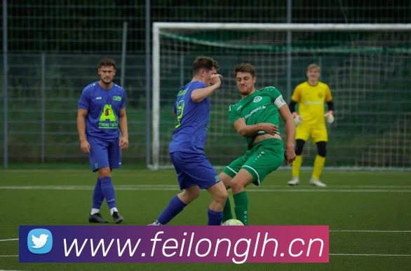 开云kaiyun网站发展历程