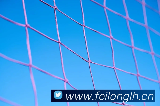 专业解说与流畅体验：看球吧直播app下载全攻略